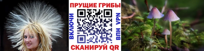 Галлюциногенные грибы Magic Shrooms дарк нет состав Новоалтайск хочу