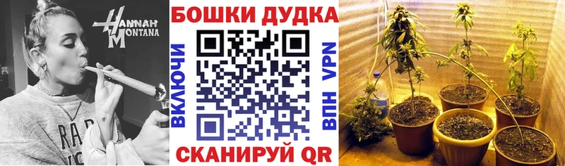 Бошки Шишки OG Kush Новоалтайск